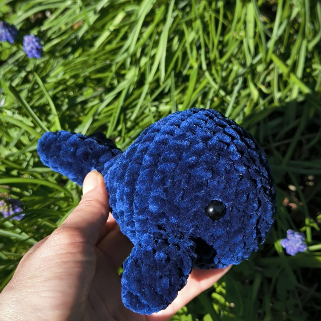 Moby la baleine