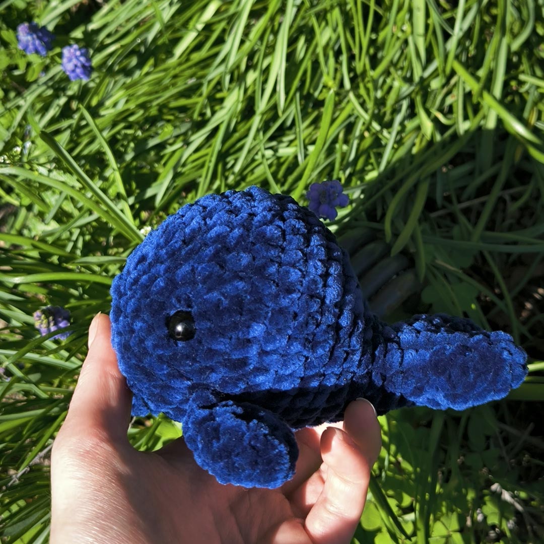 Moby la baleine