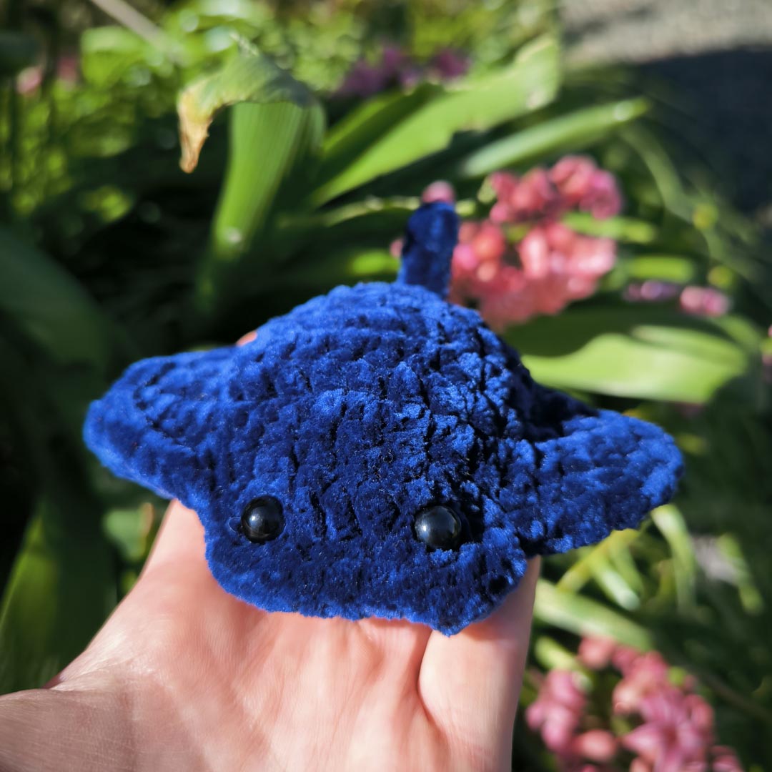 Nerina la raie manta