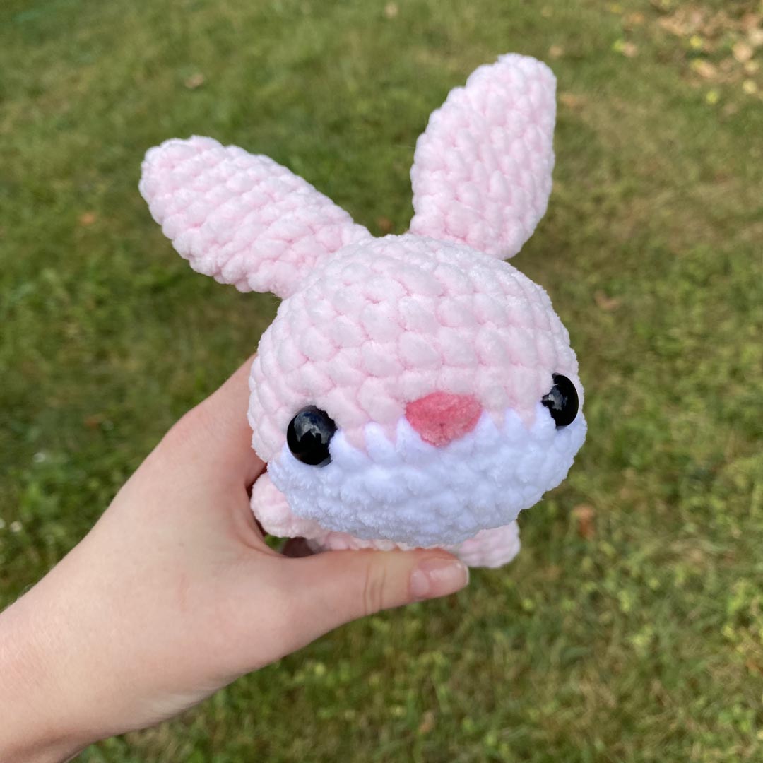Peter le petit lapin